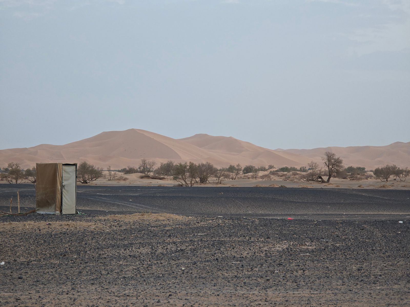 Low sand dunes and sparse desert vegetation under a pale overcast sky near Zagora, Morocco